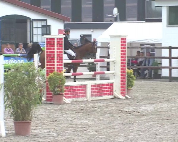 Reitturnier HH-Klein Offenseth/Hell-Stallion-Stud 2016