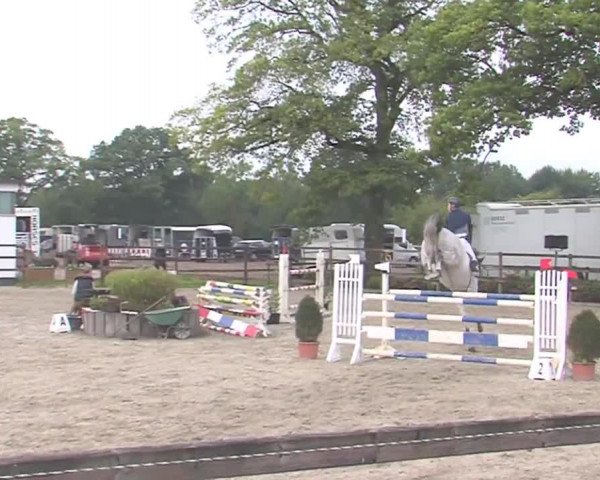 Reitturnier HH-Klein Offenseth/Hell-Stallion-Stud 2016