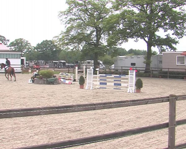 Reitturnier HH-Klein Offenseth/Hell-Stallion-Stud 2016