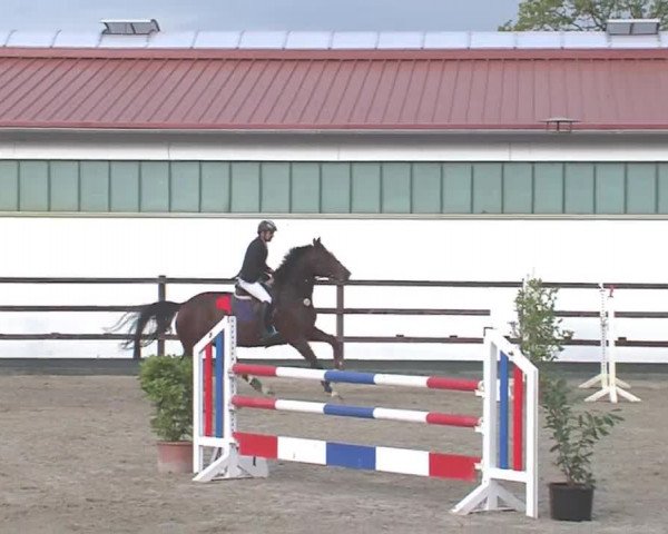 Reitturnier HH-Klein Offenseth/Hell-Stallion-Stud 2016