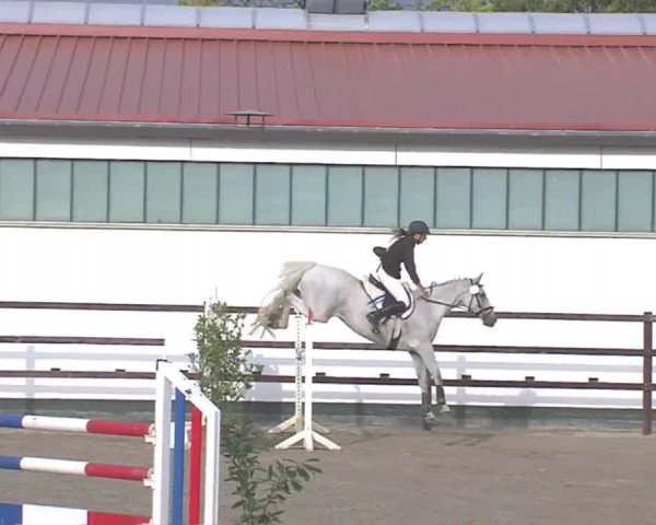Reitturnier HH-Klein Offenseth/Hell-Stallion-Stud 2016