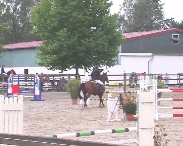 Reitturnier HH-Klein Offenseth/Hell-Stallion-Stud 2016
