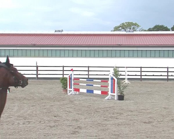 Reitturnier HH-Klein Offenseth/Hell-Stallion-Stud 2016