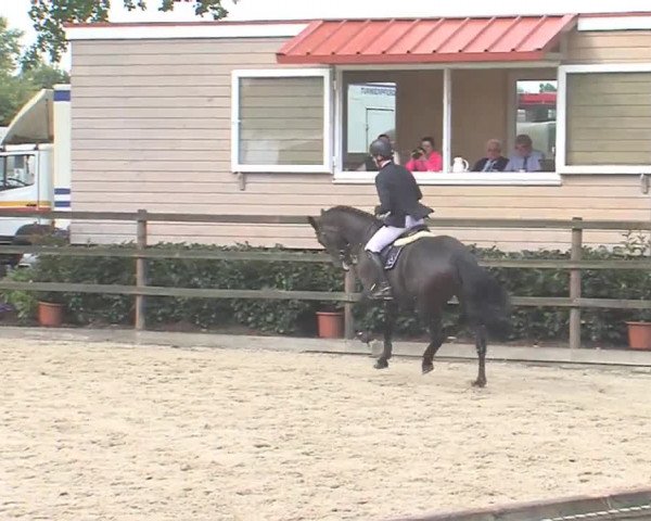 Reitturnier HH-Klein Offenseth/Hell-Stallion-Stud 2016
