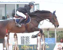 jumper Caro (Westphalian, 2011, from Congress)