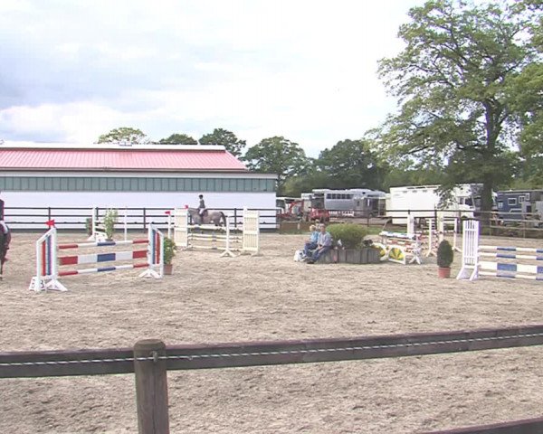 Reitturnier HH-Klein Offenseth/Hell-Stallion-Stud 2016