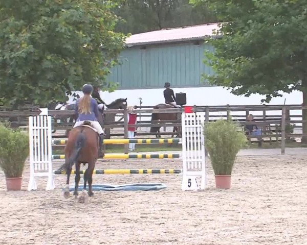 Reitturnier HH-Klein Offenseth/Hell-Stallion-Stud 2016