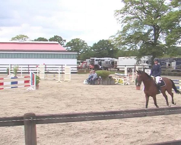 Reitturnier HH-Klein Offenseth/Hell-Stallion-Stud 2016