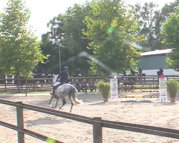 Reitturnier HH-Klein Offenseth/Hell-Stallion-Stud 2016