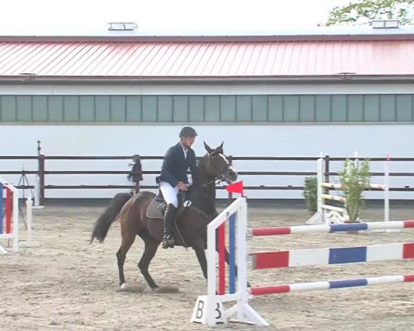 Reitturnier HH-Klein Offenseth/Hell-Stallion-Stud 2016