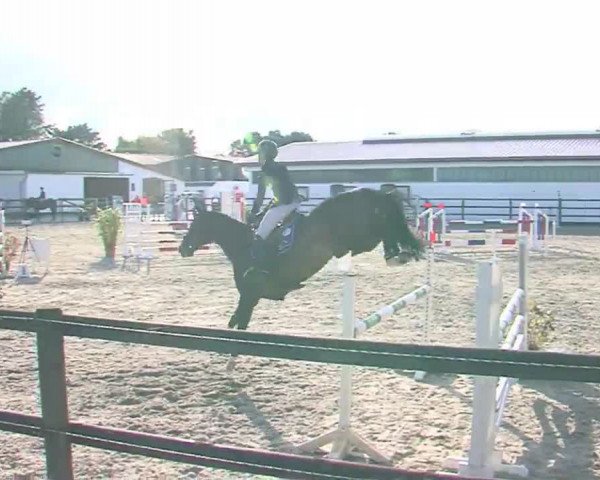 Reitturnier HH-Klein Offenseth/Hell-Stallion-Stud 2016
