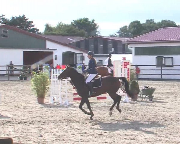Reitturnier HH-Klein Offenseth/Hell-Stallion-Stud 2016