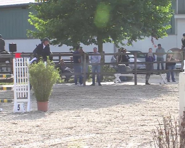 Reitturnier HH-Klein Offenseth/Hell-Stallion-Stud 2016