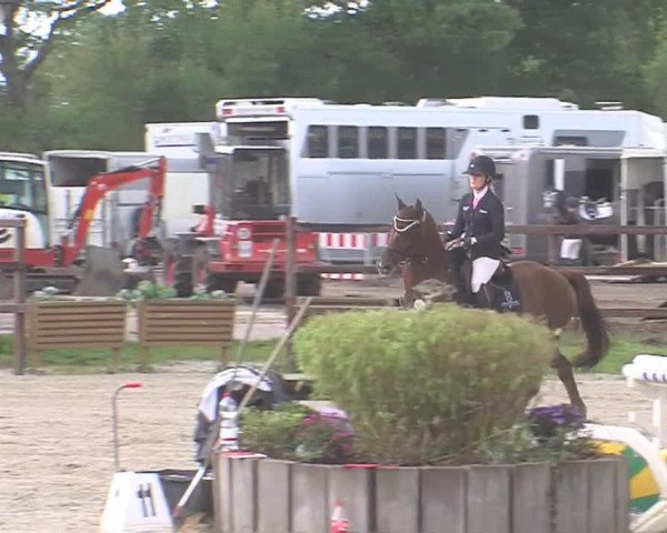 Reitturnier HH-Klein Offenseth/Hell-Stallion-Stud 2016