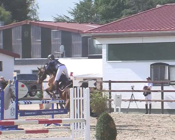Reitturnier HH-Klein Offenseth/Hell-Stallion-Stud 2016