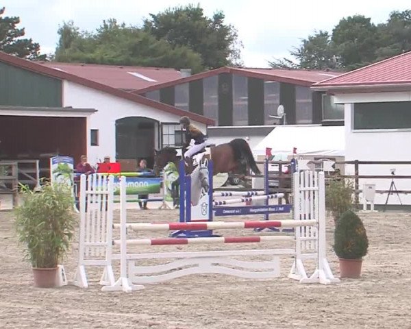 Reitturnier HH-Klein Offenseth/Hell-Stallion-Stud 2016