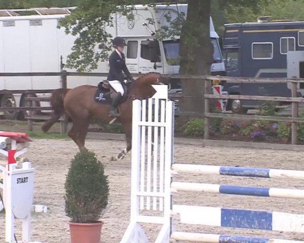 Reitturnier HH-Klein Offenseth/Hell-Stallion-Stud 2016