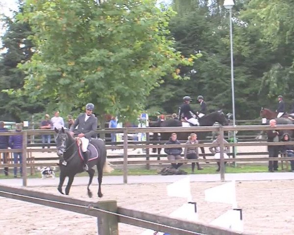 Reitturnier HH-Klein Offenseth/Hell-Stallion-Stud 2016