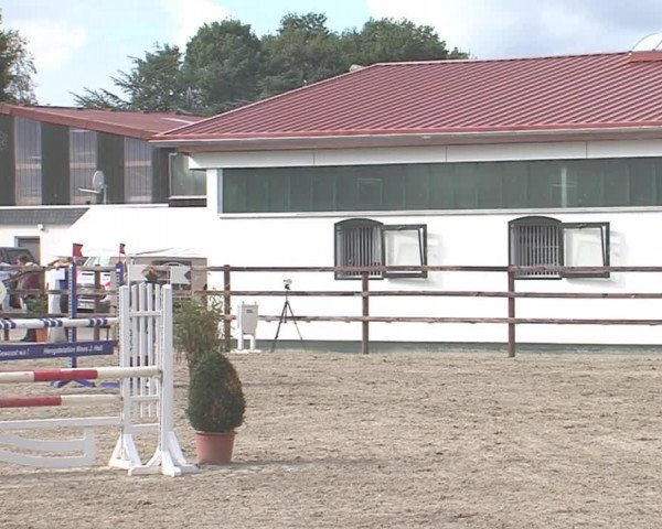 Reitturnier HH-Klein Offenseth/Hell-Stallion-Stud 2016