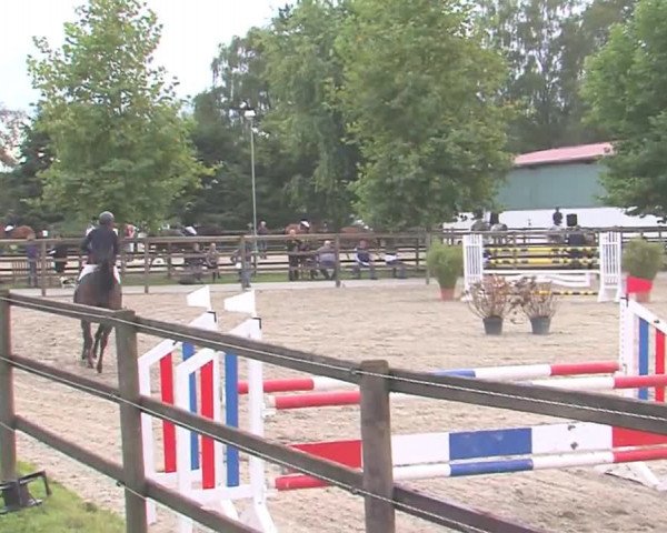 Reitturnier HH-Klein Offenseth/Hell-Stallion-Stud 2016