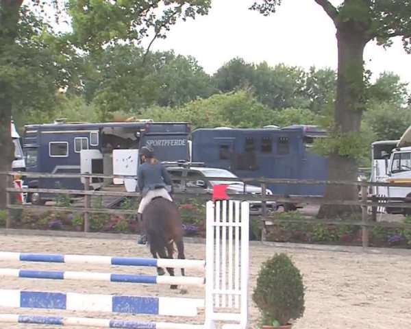 Reitturnier HH-Klein Offenseth/Hell-Stallion-Stud 2016