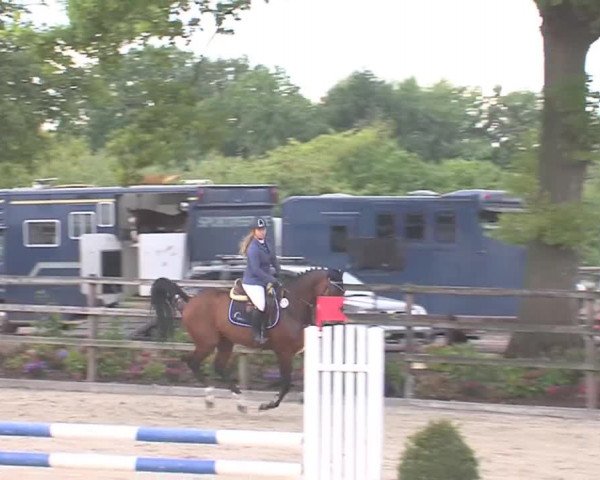 Reitturnier HH-Klein Offenseth/Hell-Stallion-Stud 2016