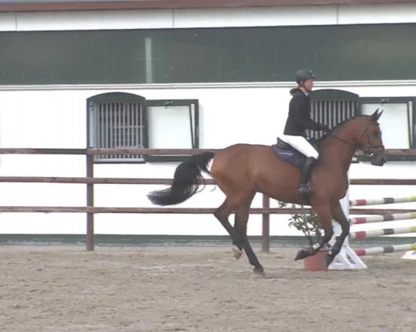 Reitturnier HH-Klein Offenseth/Hell-Stallion-Stud 2016