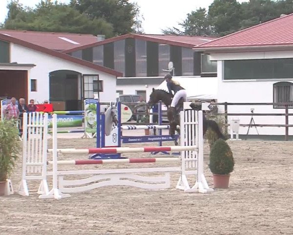 Reitturnier HH-Klein Offenseth/Hell-Stallion-Stud 2016
