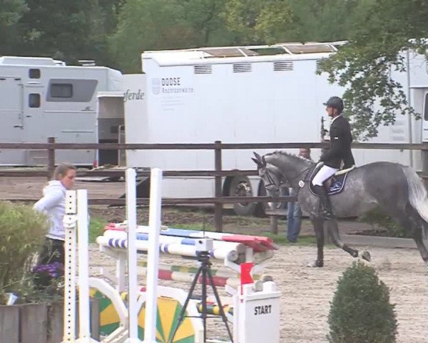 Reitturnier HH-Klein Offenseth/Hell-Stallion-Stud 2016