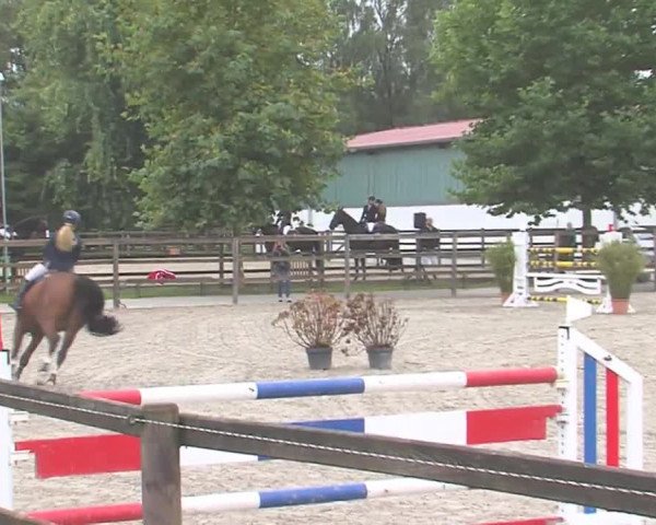 Reitturnier HH-Klein Offenseth/Hell-Stallion-Stud 2016