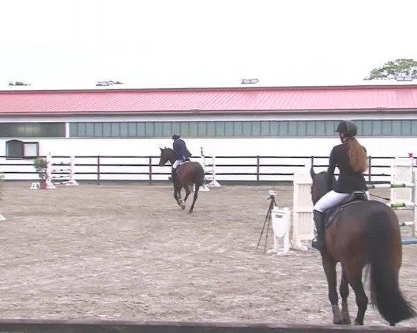 Reitturnier HH-Klein Offenseth/Hell-Stallion-Stud 2016