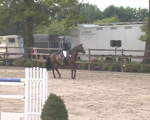 Reitturnier HH-Klein Offenseth/Hell-Stallion-Stud 2016