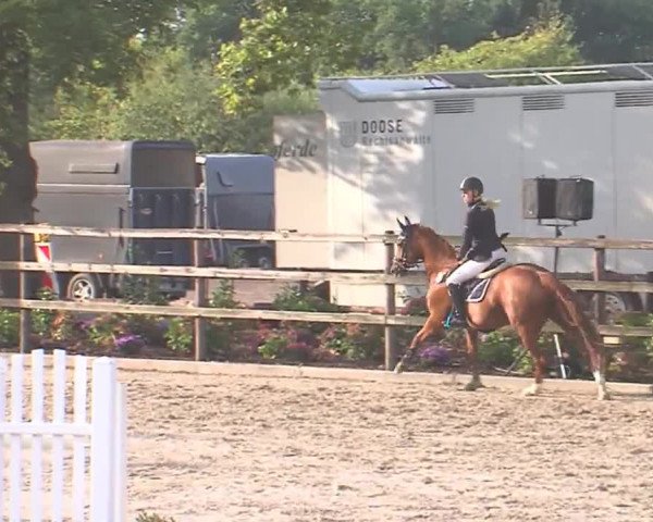 Reitturnier HH-Klein Offenseth/Hell-Stallion-Stud 2016
