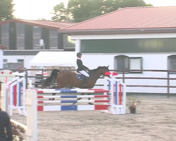 Reitturnier HH-Klein Offenseth/Hell-Stallion-Stud 2016