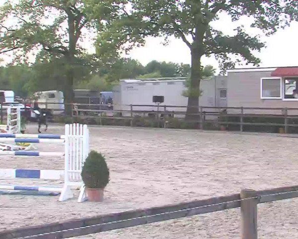 Reitturnier HH-Klein Offenseth/Hell-Stallion-Stud 2016