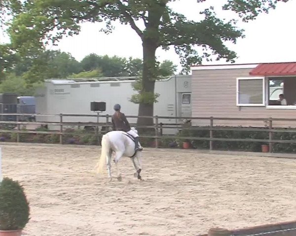 Reitturnier HH-Klein Offenseth/Hell-Stallion-Stud 2016