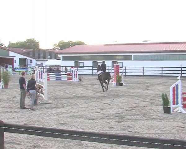 Reitturnier HH-Klein Offenseth/Hell-Stallion-Stud 2016