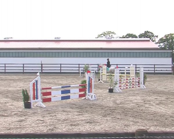 Reitturnier HH-Klein Offenseth/Hell-Stallion-Stud 2016