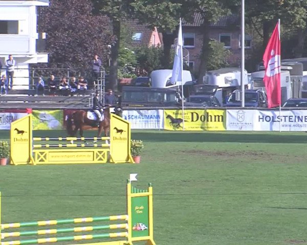 Landesponyturnier Bad Segeberg 2016