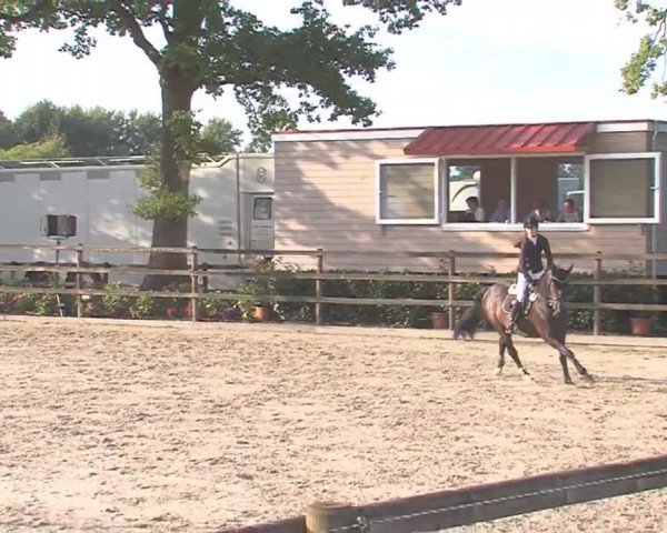 Reitturnier HH-Klein Offenseth/Hell-Stallion-Stud 2016