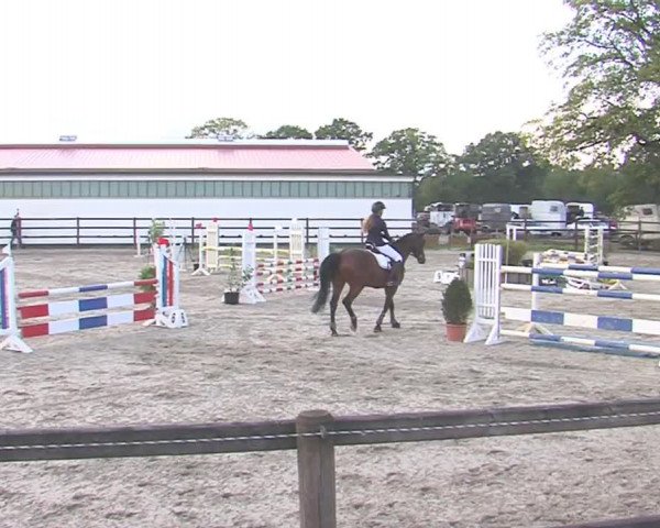 Reitturnier HH-Klein Offenseth/Hell-Stallion-Stud 2016