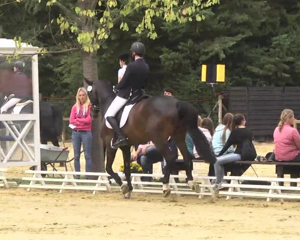 Nordbadische Meisterschaften Dressur 2016