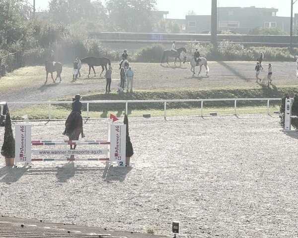 Pferdesporttage Bülach 2021