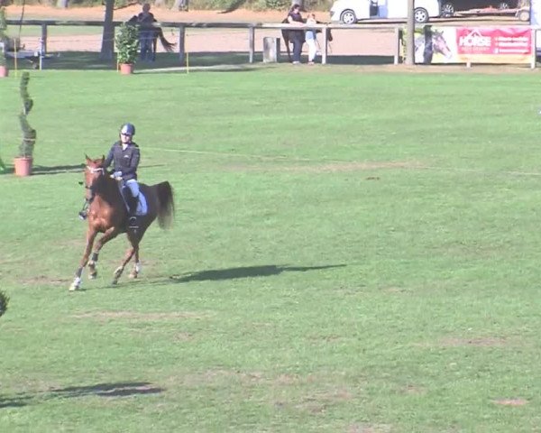 Landesponyturnier Bad Segeberg 2016