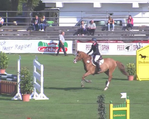 Landesponyturnier Bad Segeberg 2016