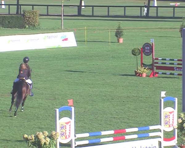 Landesponyturnier Bad Segeberg 2016