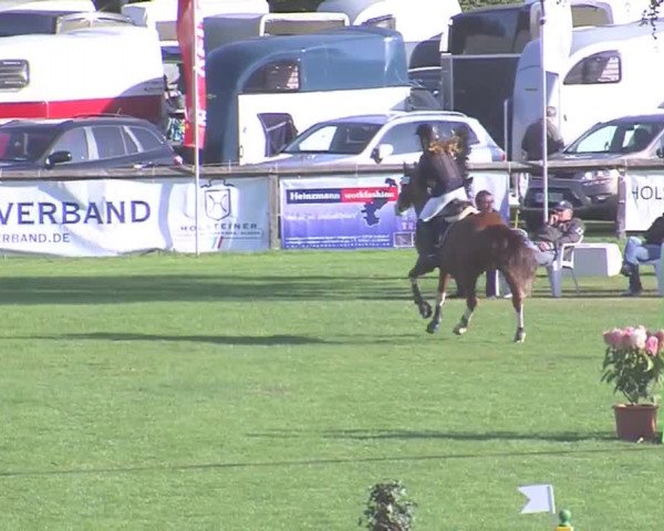 Landesponyturnier Bad Segeberg 2016