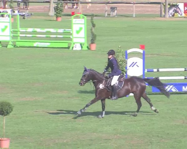 Landesponyturnier Bad Segeberg 2016