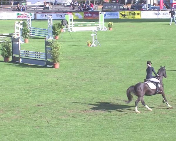 Landesponyturnier Bad Segeberg 2016