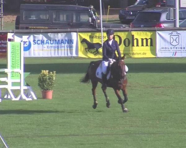 Landesponyturnier Bad Segeberg 2016